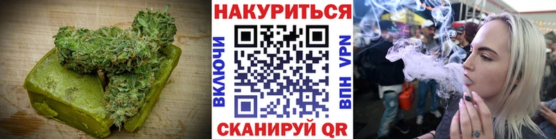 купить наркотики цена  Сланцы  omg вход  Canna-Cookies марихуана 