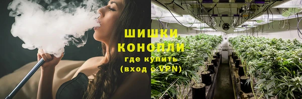 Альфа ПВП Богданович
