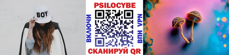 Псилоцибиновые грибы Psilocybe  mega зеркало  Сланцы 